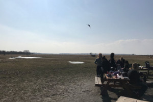 Frisk luft og grillmad