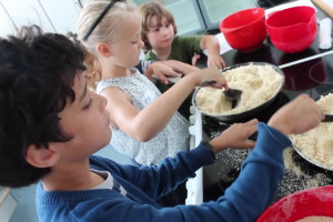 Noget om Sommerskole 2014